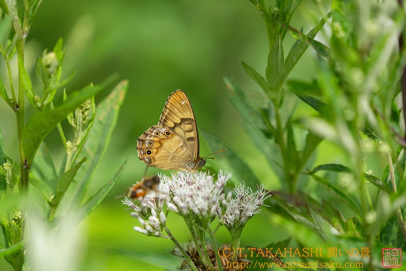 ../Images/7R240728 (87).jpg